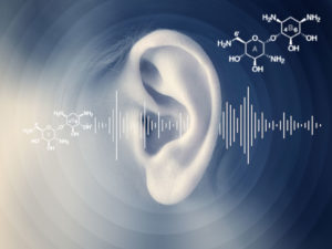 Ototoxicants – what are they and how may they worsen hearing loss in the workplace?